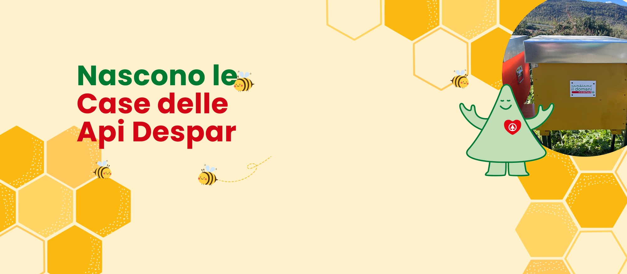 Immagine responsive